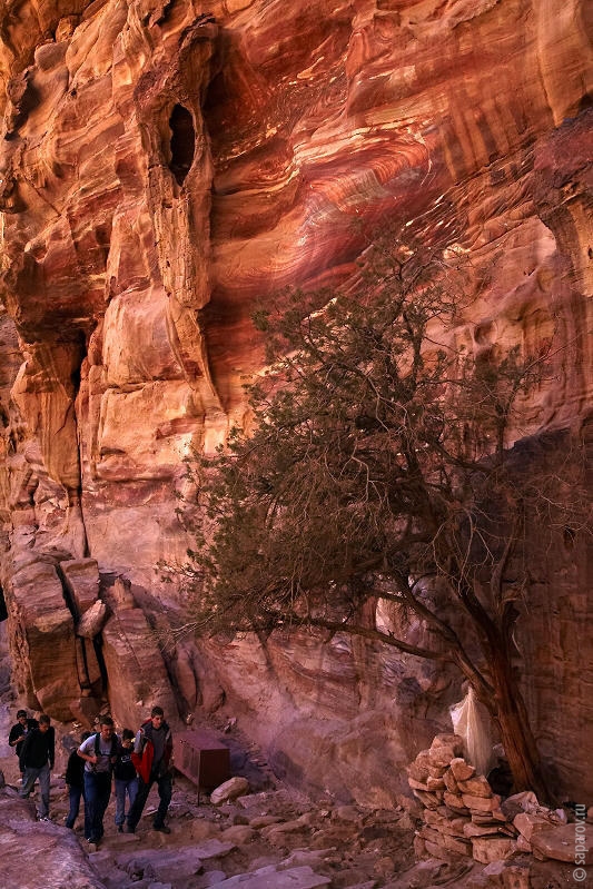 Фотографии путешествий. Страна Страна: Иордания, город Иордания, страница 1