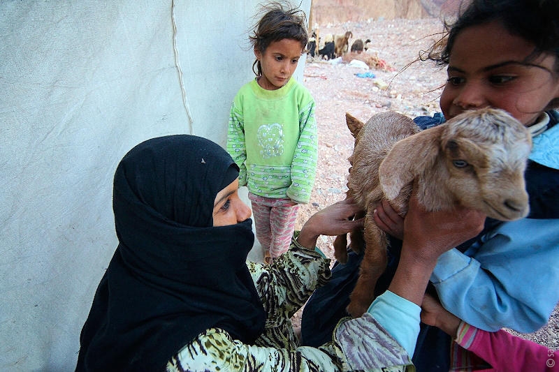 Фотографии путешествий. Страна Страна: Иордания, город Иордания, страница 1