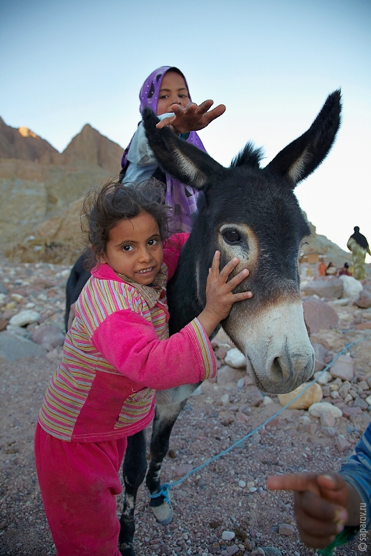 Фотографии путешествий. Страна Страна: Иордания, город Иордания, страница 1