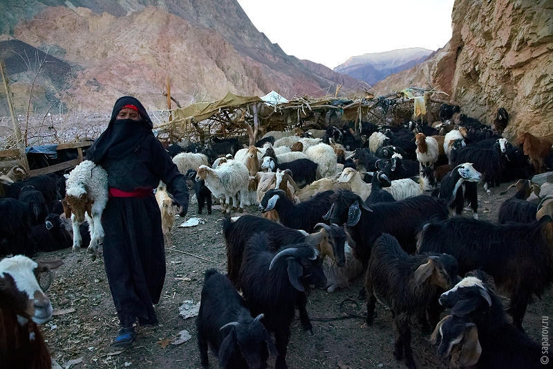 Фотографии путешествий. Страна Страна: Иордания, город Иордания, страница 1