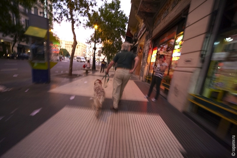 Северная Аргентина 2010