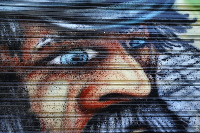 Северная Аргентина 2010