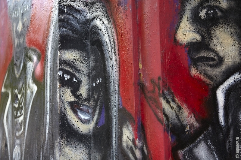 Северная Аргентина 2010