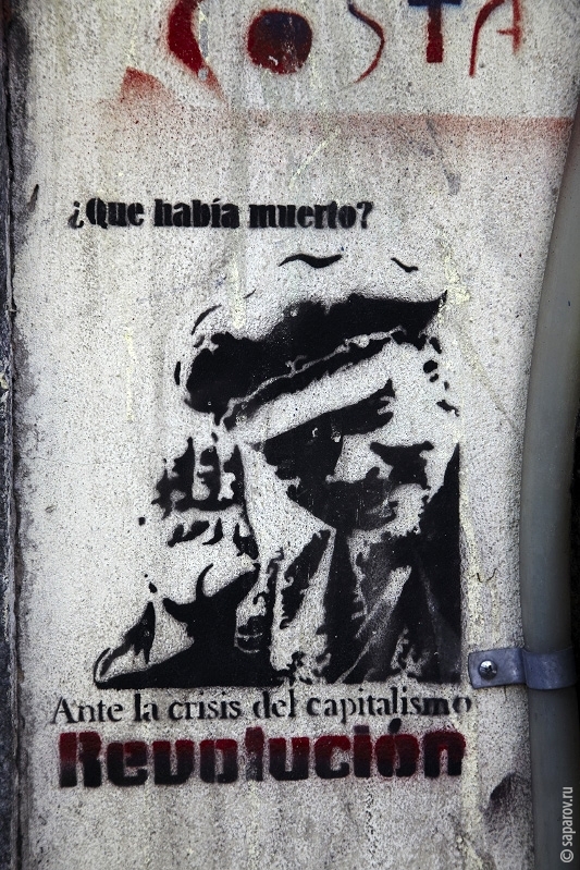 Северная Аргентина 2010