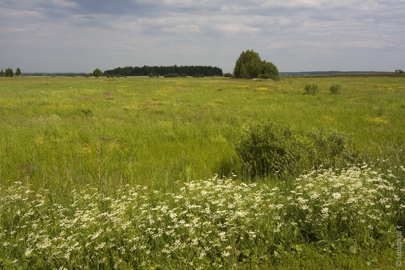 Фотографии путешествий. Страна Страна: Россия, город Кострома, страница 1