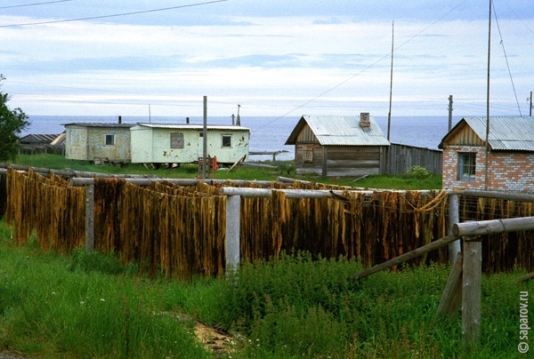 Фотографии путешествий. Страна Страна: Россия, город Соловки, страница 1