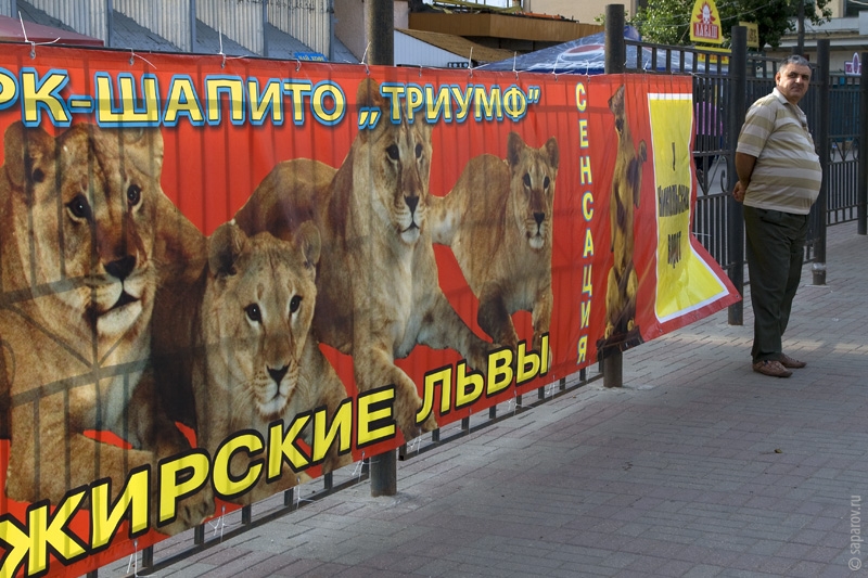 Фотографии путешествий. Страна Страна: Россия, город Смоленск, страница 1