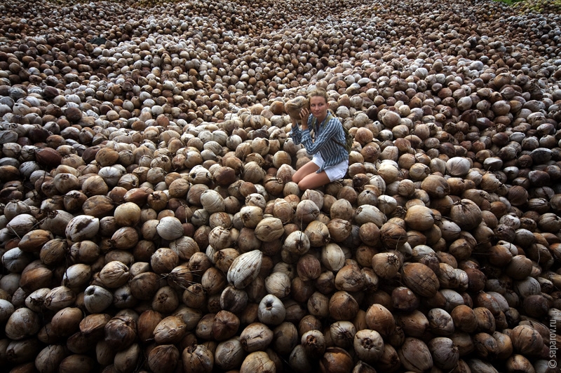 Фотографии путешествий. Страна Страна: Таиланд, город Таиланд, страница 1