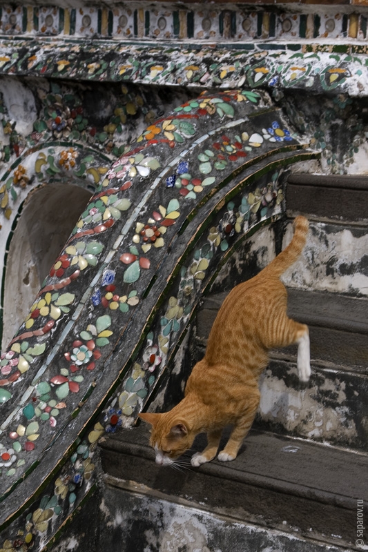 Фотографии путешествий. Страна Страна: Таиланд, город Таиланд, страница 1