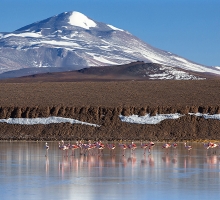 image.php?&height=200&cropratio=1.098:1&image=files/norte 2014/03_laguna_brava_37.jpg