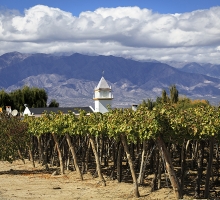 image.php?&height=200&cropratio=1.098:1&image=files/norte 2014/14_cafayate_17.jpg