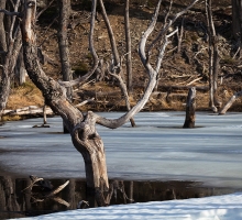 image.php?&height=200&cropratio=1.098:1&image=foto_programms/patagonia/day/2-4.jpg