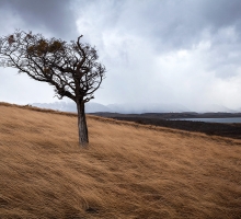 image.php?&height=200&cropratio=1.098:1&image=foto_programms/patagonia/day/3-2.jpg