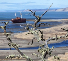 image.php?&height=200&cropratio=1.098:1&image=foto_programms/patagonia/day/3-3.jpg