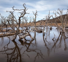 image.php?&height=200&cropratio=1.098:1&image=foto_programms/patagonia/day/4-1.jpg