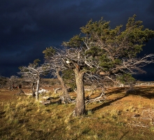 image.php?&height=200&cropratio=1.098:1&image=foto_programms/patagonia/day/8-3.jpg